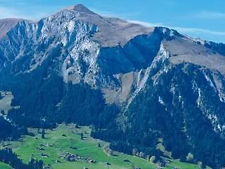 Hotel Waldrand Lenk im Simmental