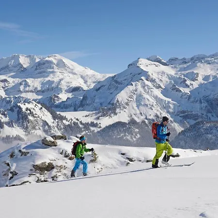 Waldrand Lenk im Simmental