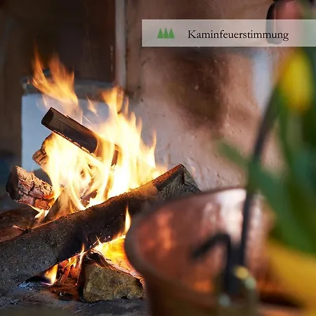 Waldrand Hotel Lenk im Simmental