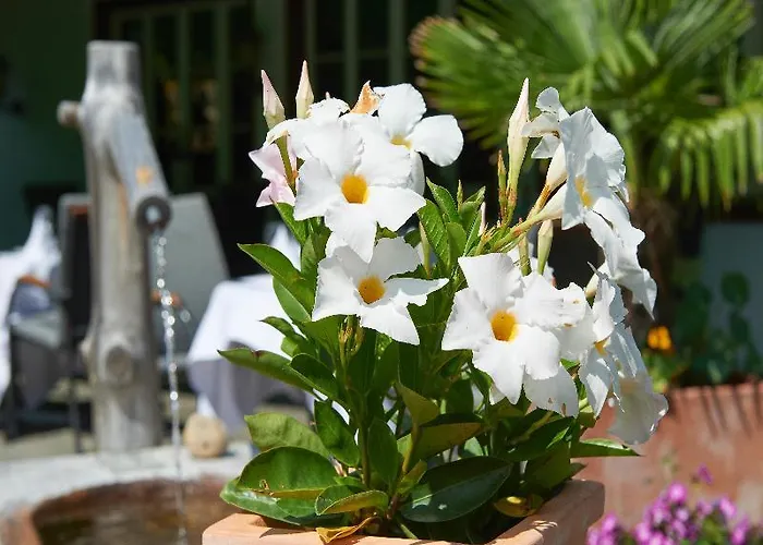 Hotell Waldrand Lenk