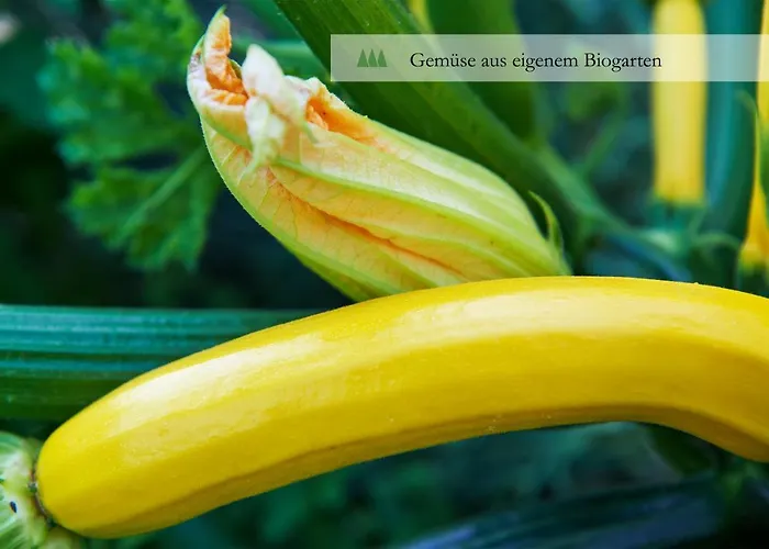 호텔 발트란트 3*