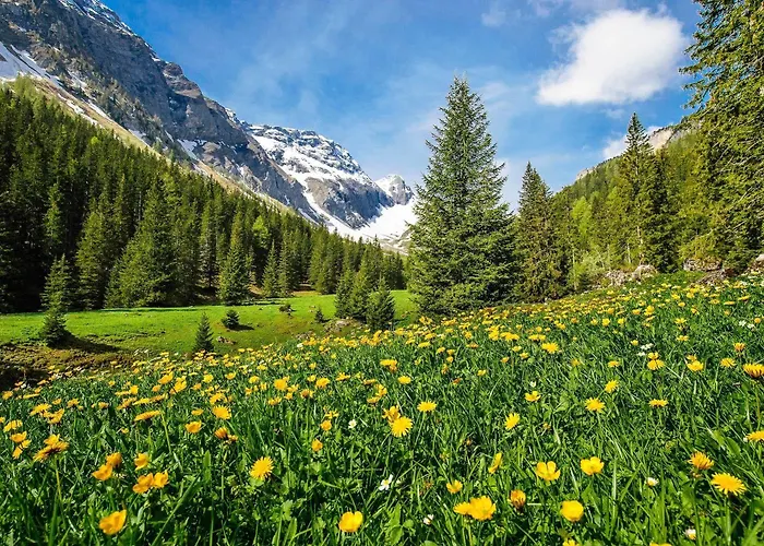 Waldrand Szálloda Lenk