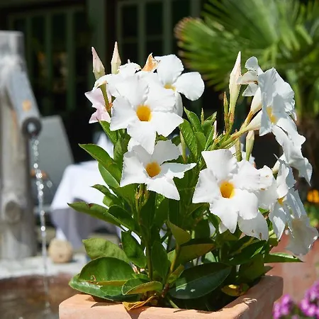 מלון Waldrand לנק