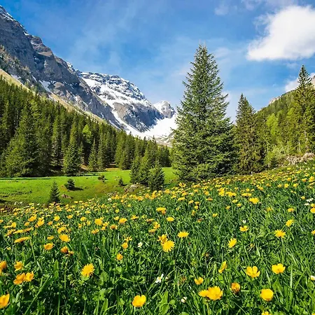 Waldrand מלון לנק